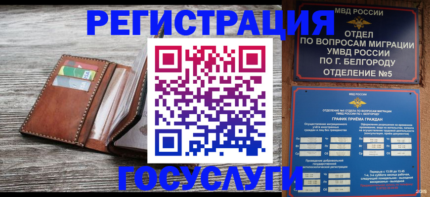временная регистрация гарантия в Курской области